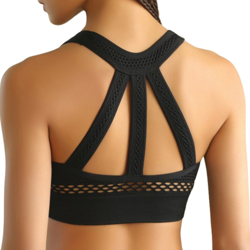 Seamless High-Impact Push-Up Sports Bra – Padded Workout & Yoga Fitness Crop Top